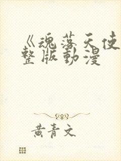 《魂落天使》完整版动漫