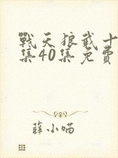 战天狼武十三全集40集免费播放