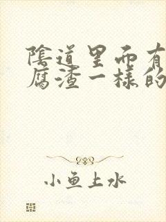 阴道里面有跟豆腐渣一样的东西是怎么回事