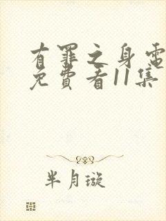 有罪之身电视剧免费看11集