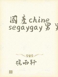 国产chinesegaygay男男网站