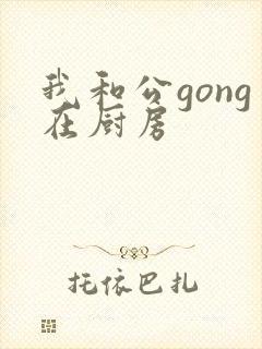 我和公gong在厨房