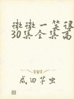 微微一笑很倾城30集全集高清