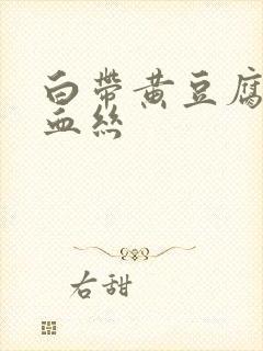 白带黄豆腐渣带血丝封面