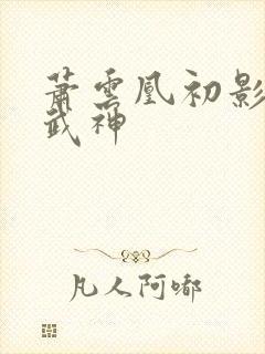 萧云凰初影荒古武神封面