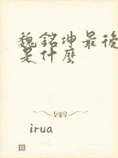 魏铭坤最后结局是什么