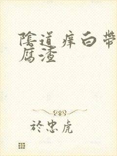 阴道痒白带呈豆腐渣