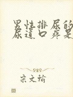 男性排尿的时候尿道口疼是怎么回事封面