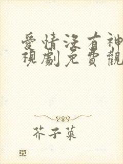 爱情没有神话电视剧免费观看