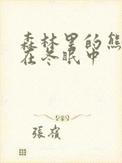 森林里的熊先生在冬眠中