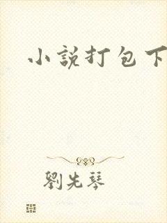 小说打包下载