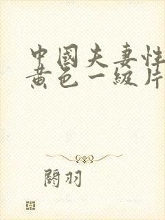 中国夫妻性生活黄色一级片封面