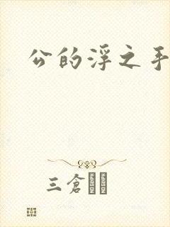 公的浮之手中字