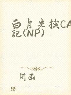 白月光挨CAO记(NP)