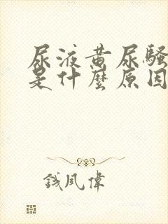 尿液黄尿骚味重是什么原因