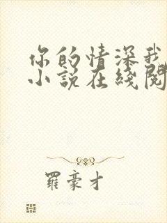 你的情深我不配小说在线阅读