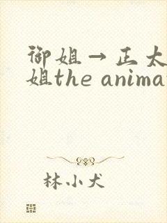 御姐→正太←御姐the animation