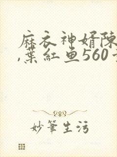 麻衣神婿陈黄皮,叶红鱼560章大结局