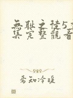 无耻之徒5季全集完整观看封面