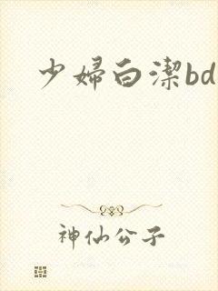 少妇白洁bd