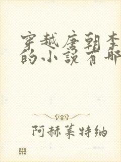 穿越唐朝李承乾的小说有哪些封面