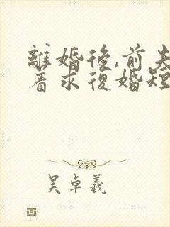 离婚后,前夫哭着求复婚短剧封面