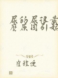 尿的尿很黄是什么原因引起的