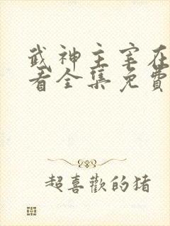 武神主宰在线观看全集免费播放动漫