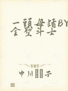 一头母猪BY黄金圣斗士