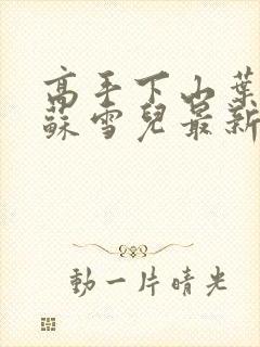 高手下山叶君临苏雪儿最新章节