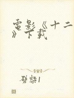 电影《十二公民》下载封面