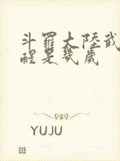 斗罗大陆武魂觉醒是几岁封面