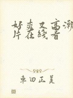 好爽又高潮了毛片在线看