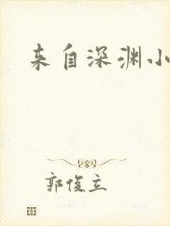 来自深渊小说