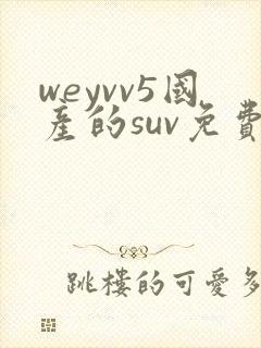 weyvv5国产的suv免费