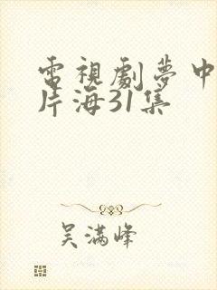 电视剧梦中的那片海31集