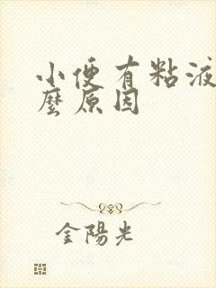 小便有粘液是什么原因