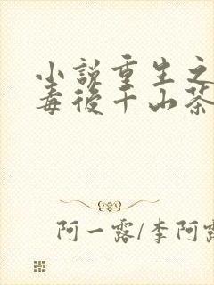 小说重生之将门毒后千山茶客完全版封面