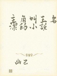 主角叫王名浩李洁的小说封面