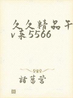 久久精品午夜av来5566