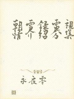 朝雪录电视剧剧情介绍分集