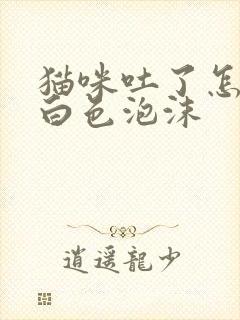 猫咪吐了怎么办白色泡沫