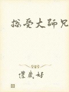 总受大师兄小说封面