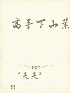 高手下山叶君临