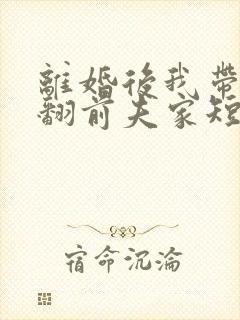 离婚后我带娃虐翻前夫家短剧免费观看封面