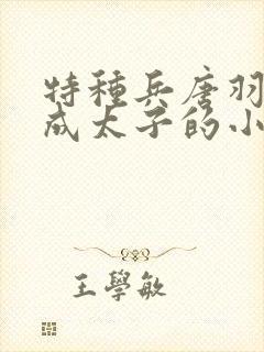 特种兵唐羽穿越成太子的小说免费