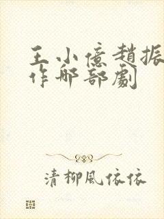 王小亿赵振栋合作哪部剧