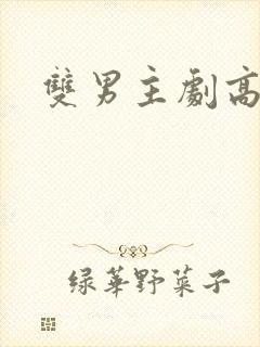 双男主剧高颜值