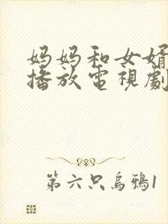 妈妈和女婿免费播放电视剧在线观看