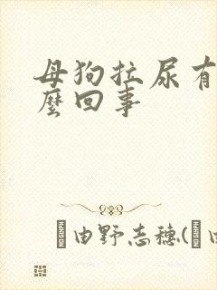 母狗拉尿有血怎么回事